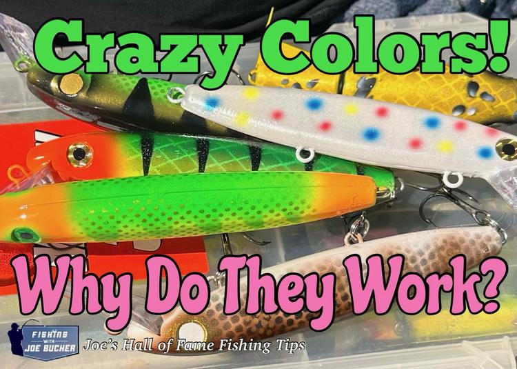 Crazy Colors! Why Do They Work 