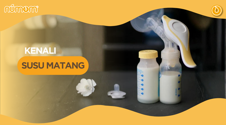 KENALI SUSU MATANG