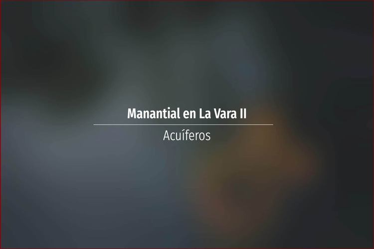 Manantial en La Vara II