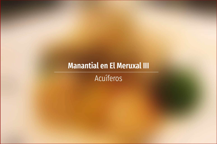 Manantial en El Meruxal III