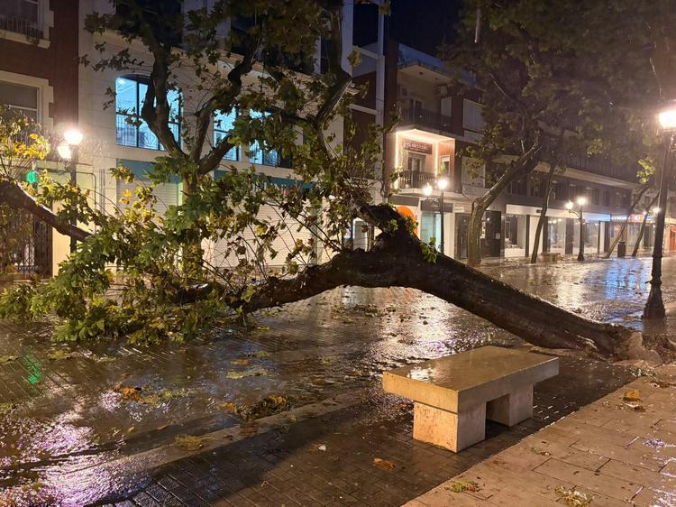 Dénia reabre sus instalaciones deportivas tras el paso de Adam