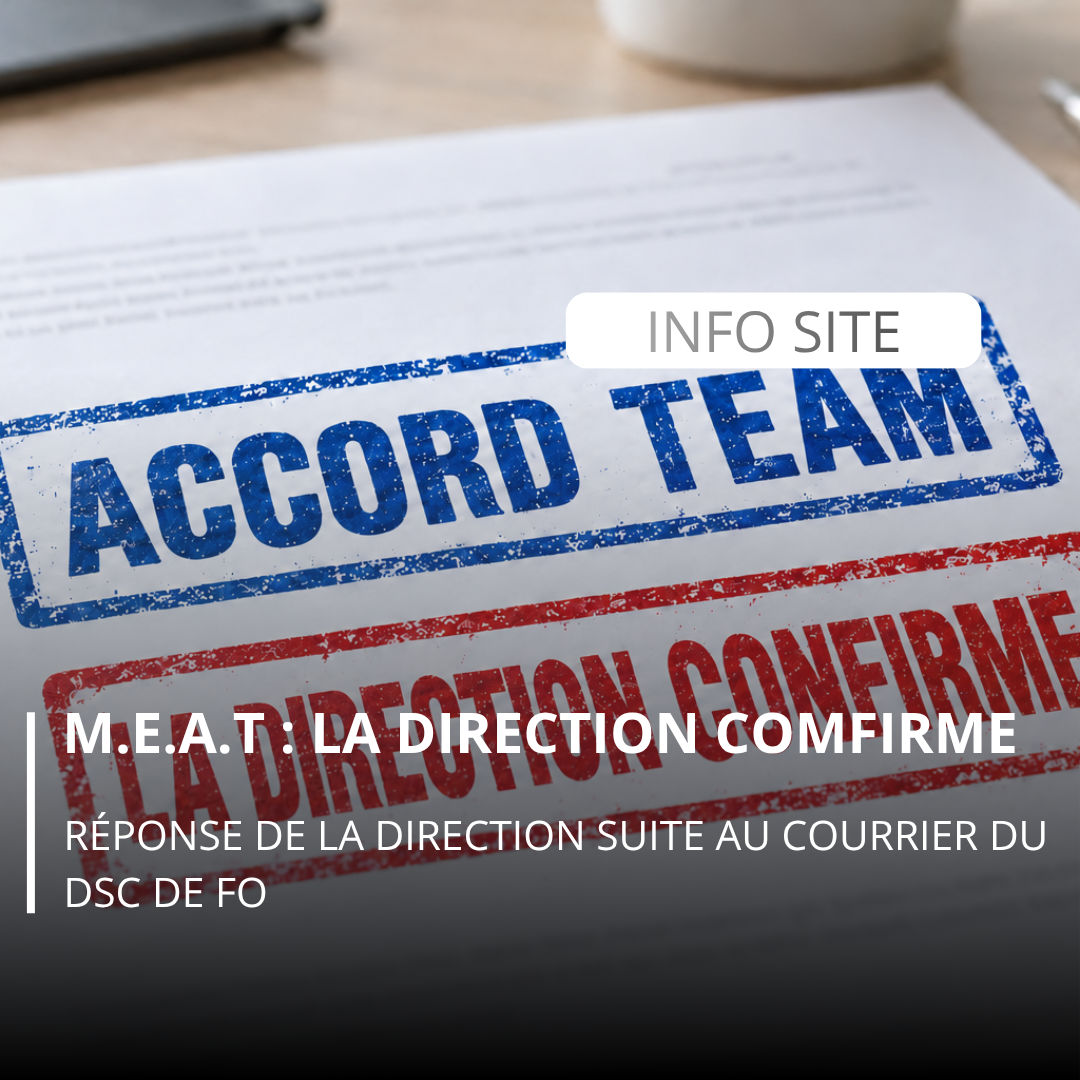 T.E.A.M : Réponse de la Direction 