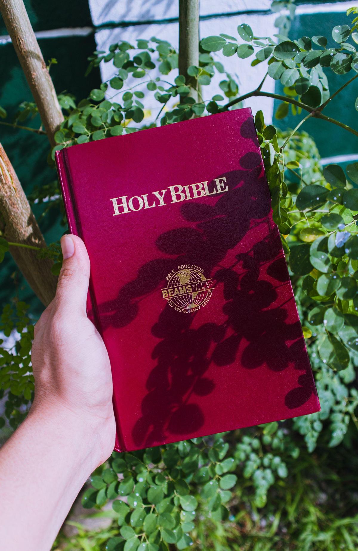 La Palabra de Dios: tu arma más poderosa