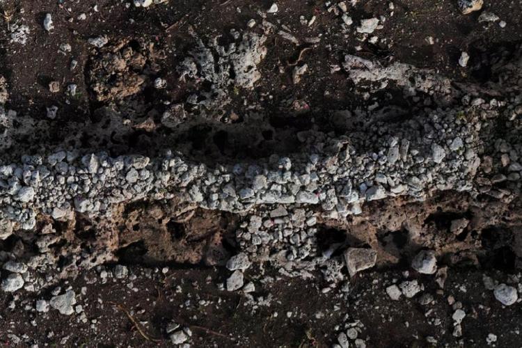 Rare Maya meliponary discovered in Quintana Roo