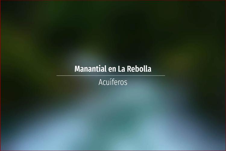 Manantial en La Rebolla