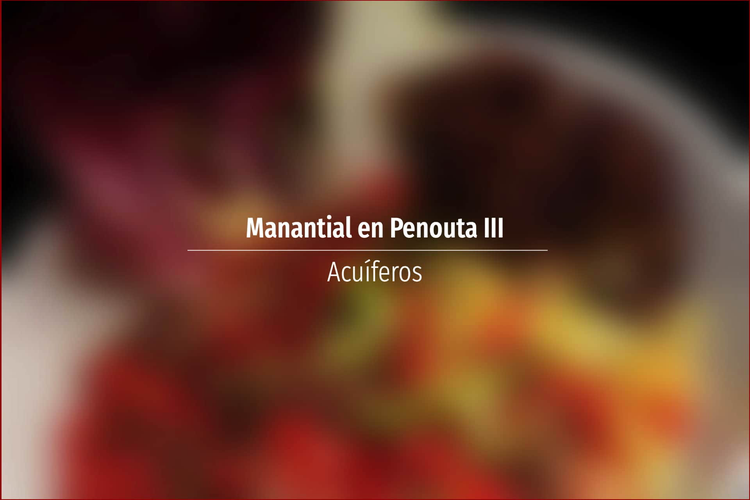 Manantial en Penouta III