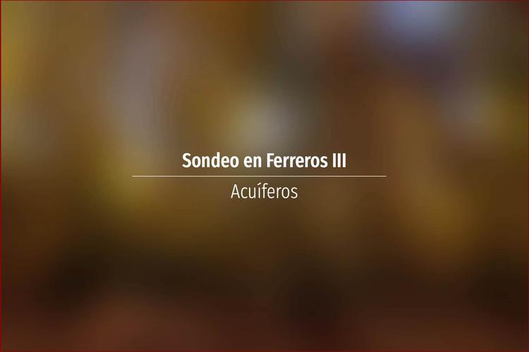 Sondeo en Ferreros III