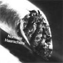 Wir schneiden lang