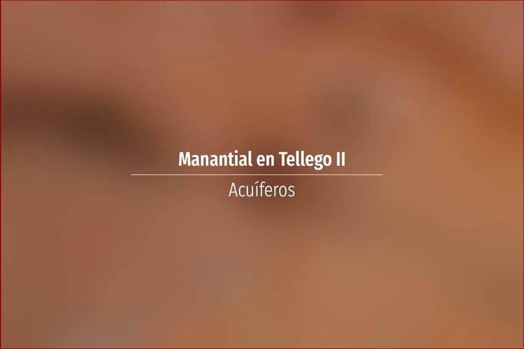 Manantial en Tellego II