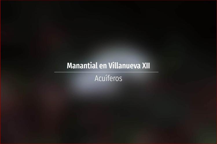 Manantial en Villanueva XII