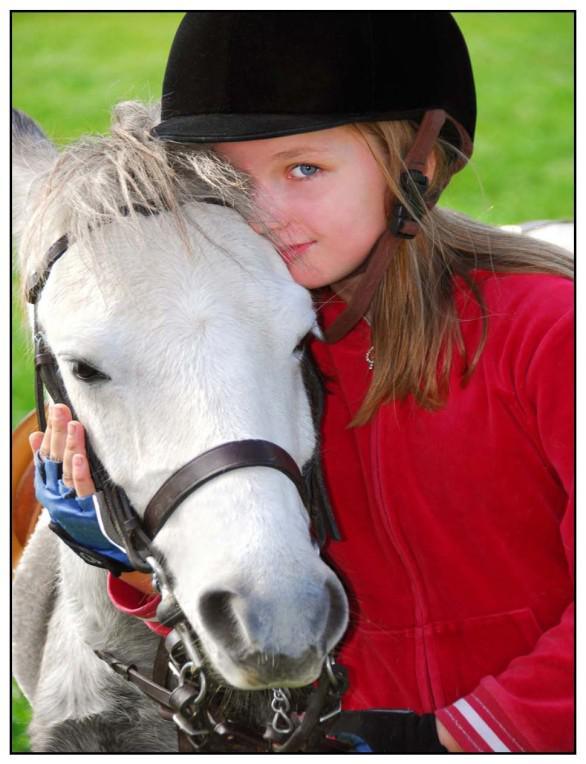 2018 Farm of the Year, STAR Equestrian 