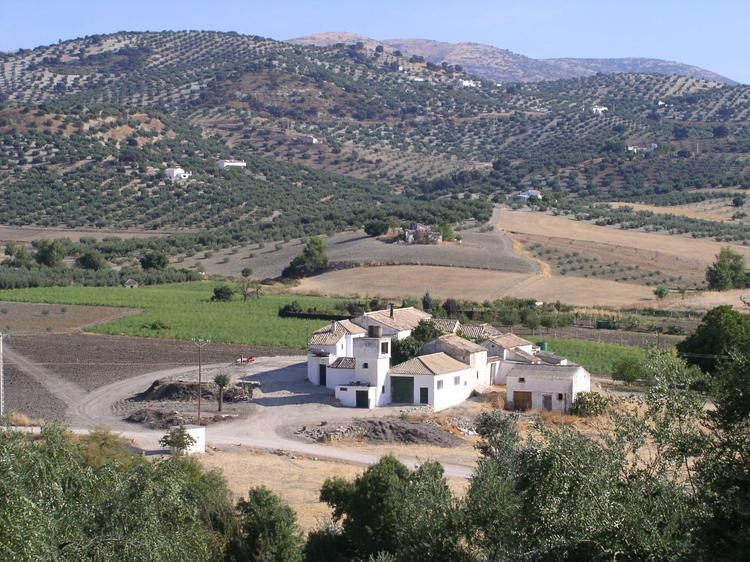 1. Ruta de la Agricultura