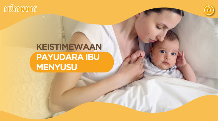 KEISTIMEWAAN PAYUDARA IBU MENYUSU