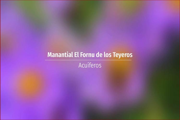 Manantial El Fornu de los Teyeros