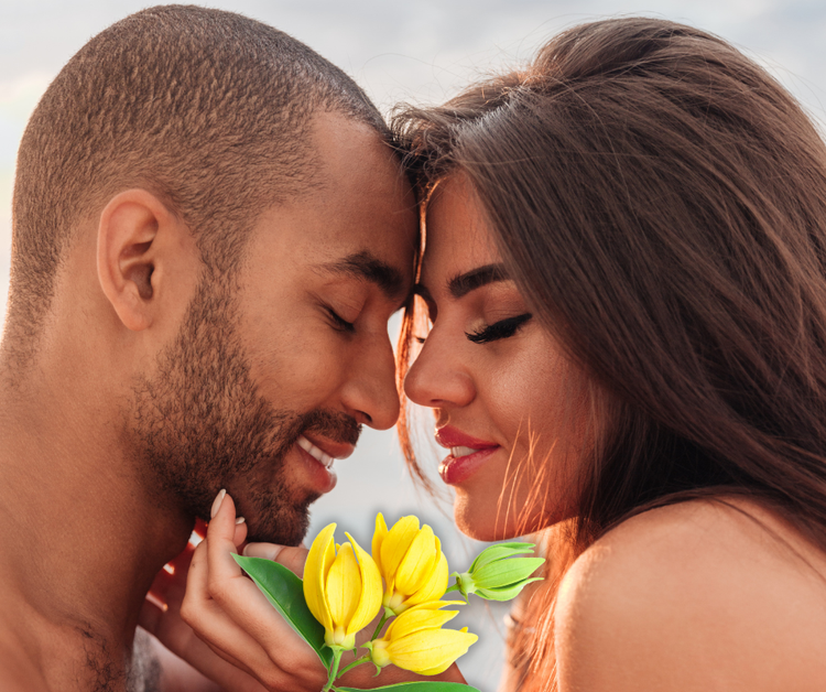Liebe liegt in der Luft - Teil I 