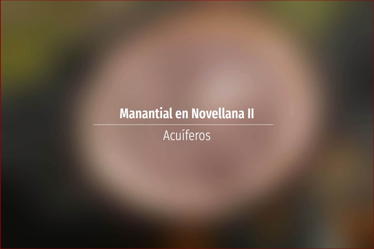 Manantial en Novellana II