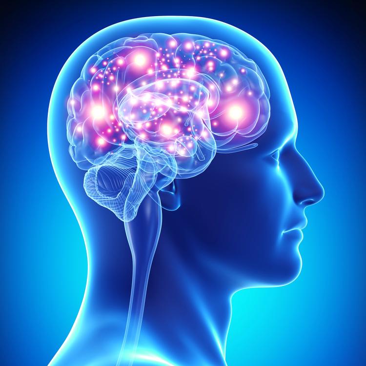 Third Eye Area Cranial Nerves Biophoton