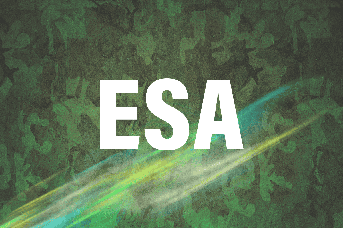 Escola de Sargento