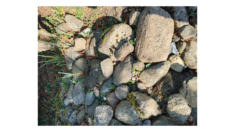 Abzugeben: ca. 200 Feldsteine