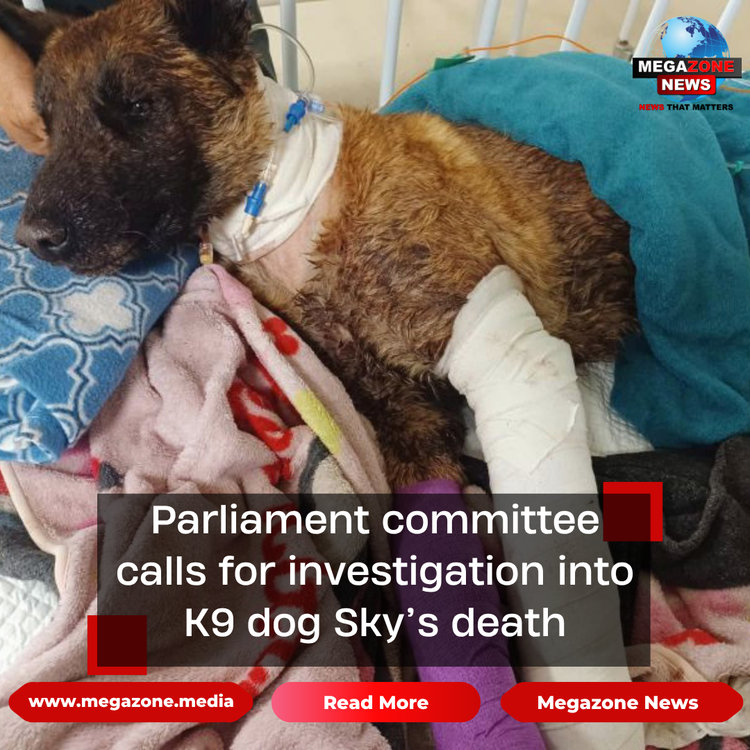 Parliament committee calls for investigation into K9 dog Sky’s death