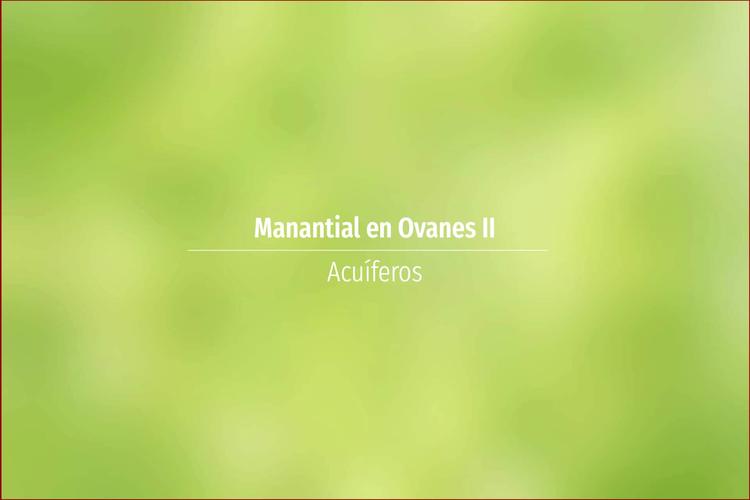 Manantial en Ovanes II
