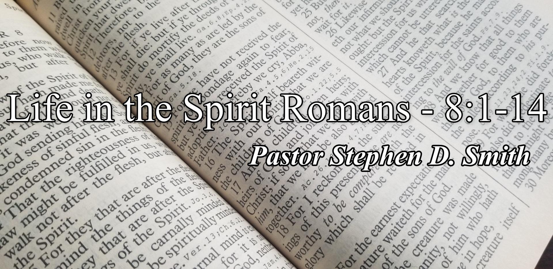 Life in the Spirit - Romans 8:1-14 by Rev. Stephen Smith