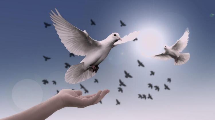 Notre définition de la spiritualité