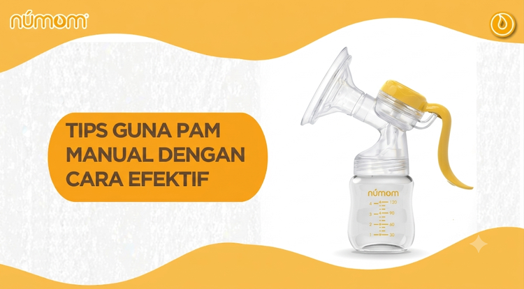 TIPS GUNA PAM MANUAL DENGAN CARA EFEKTIF
