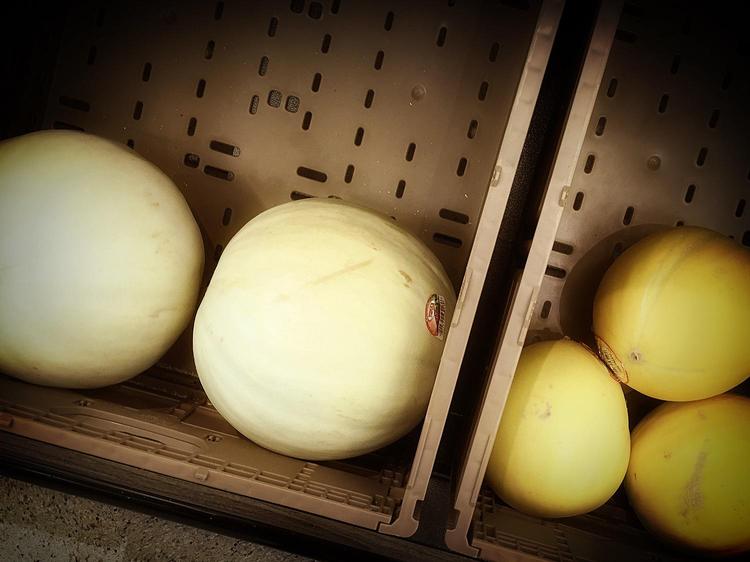 Honeydew