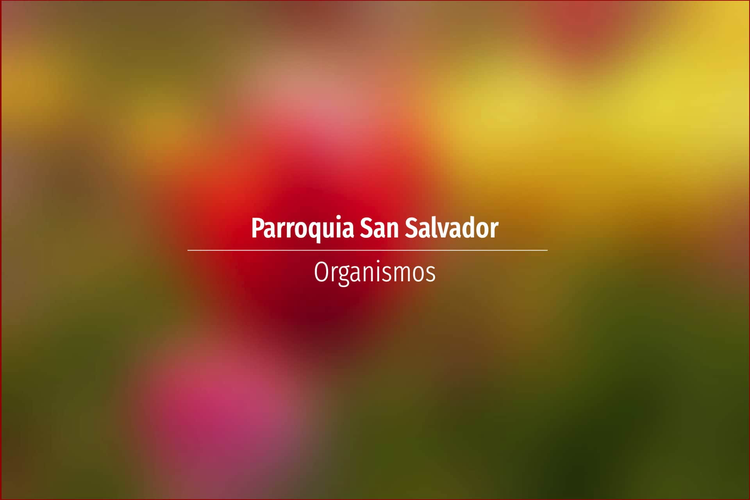 Parroquia San Salvador