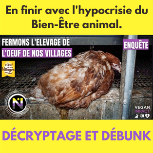 Poulailler d'Havelu, pour en finir avec l'hypocrisie du Bien-Être animal.