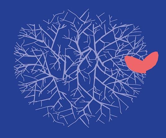 Constelaciones Familiares. Las raíces del amor