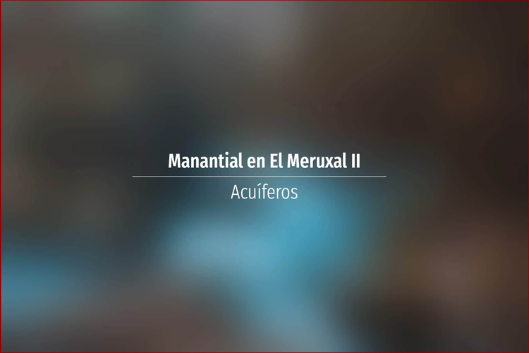 Manantial en El Meruxal II