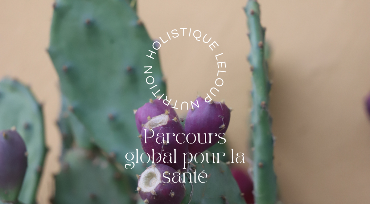 Bienvenue dans le Parcours Holistique