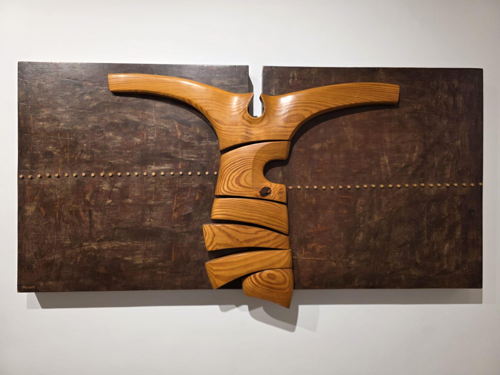 “Pulso almado, voz lignaria”, by Marcelo Díaz