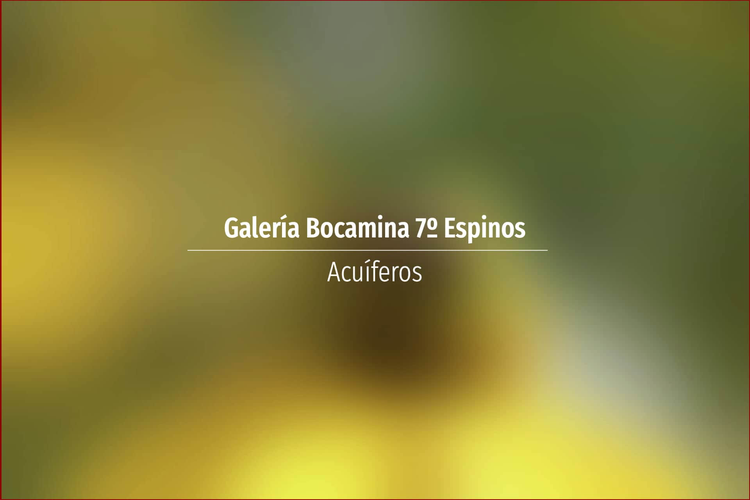 Galería Bocamina 7º Espinos