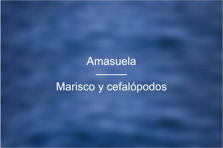 Amasuela