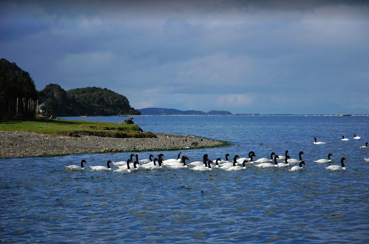 Costanera de Quechu en Queilen, Chiloé, Sur de Chile