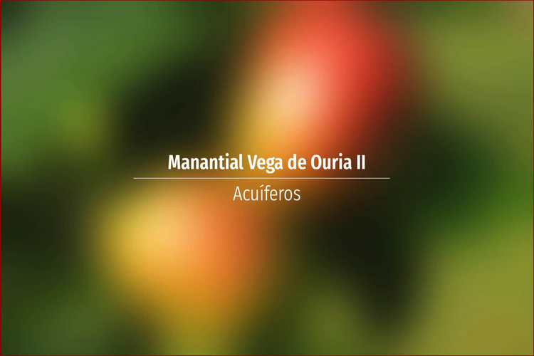 Manantial Vega de Ouria II