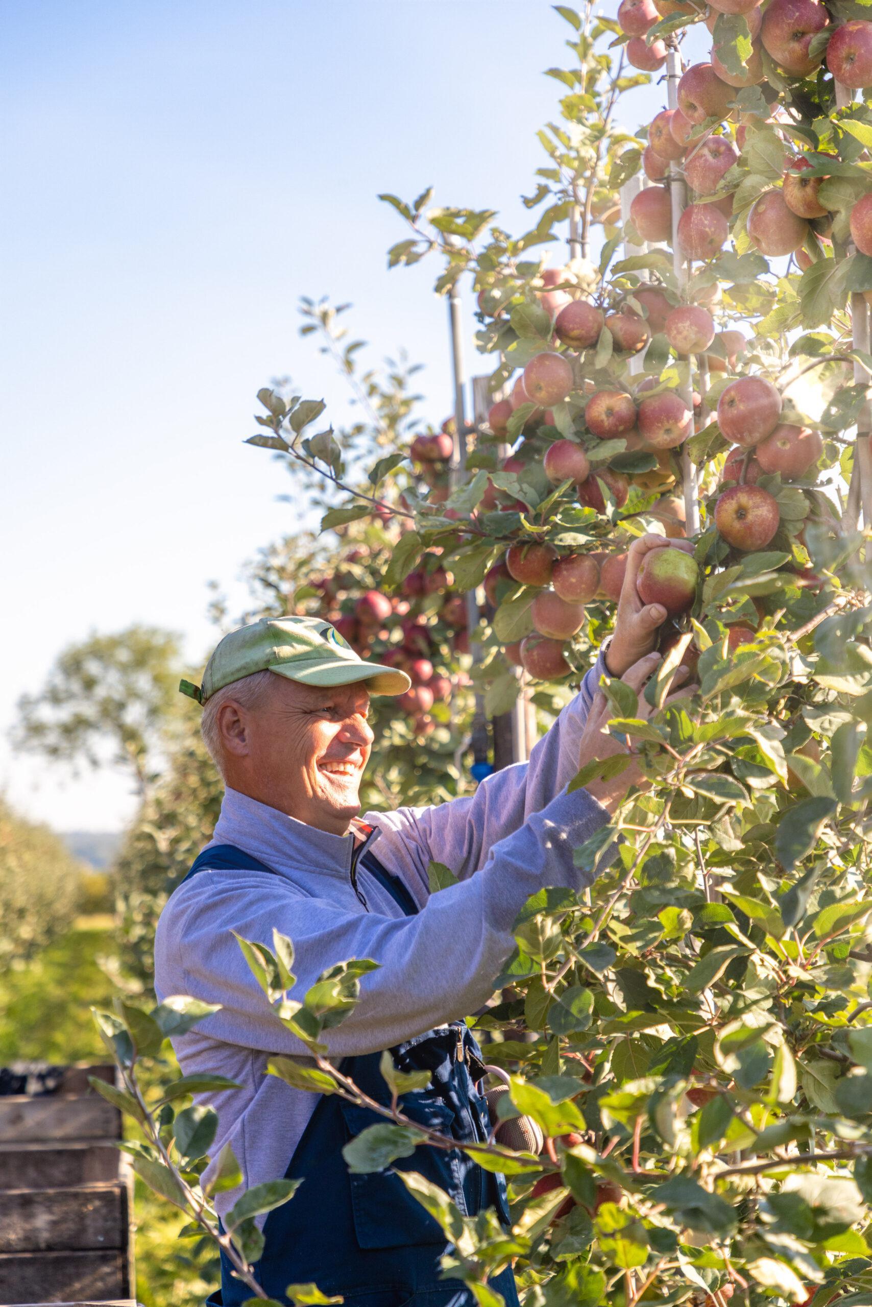 Fietsroute: Maas & Waalse streekroute (52 KM)