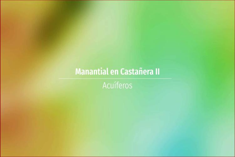 Manantial en Castañera II