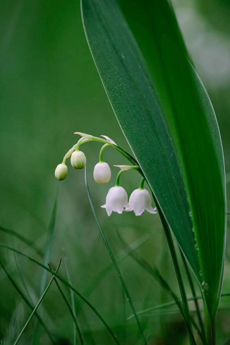 1er mai : courrier intersyndical au premier ministre