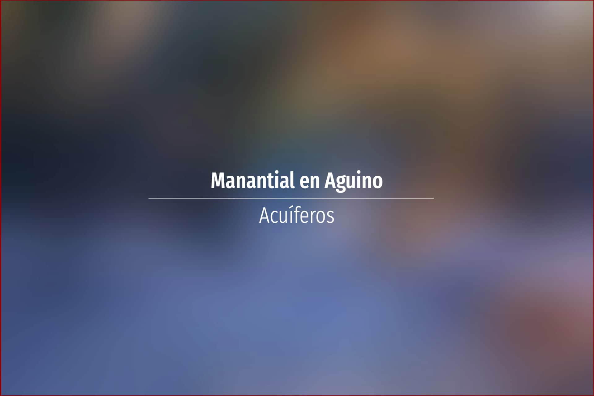 Manantial en Aguino