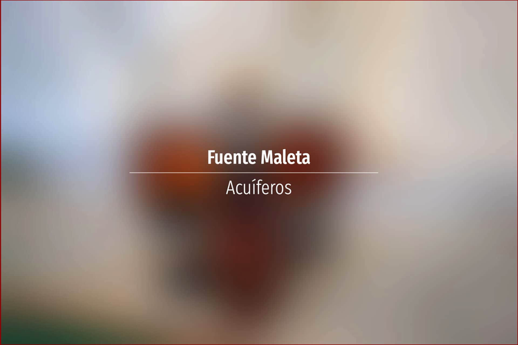 Fuente Maleta