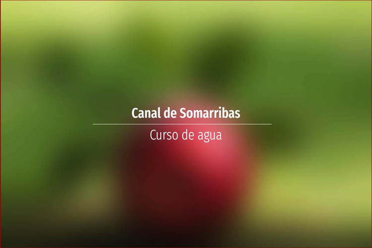 Canal de Somarribas