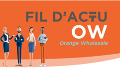 Fil d'actu des CSEEs OW - Juillet 2026