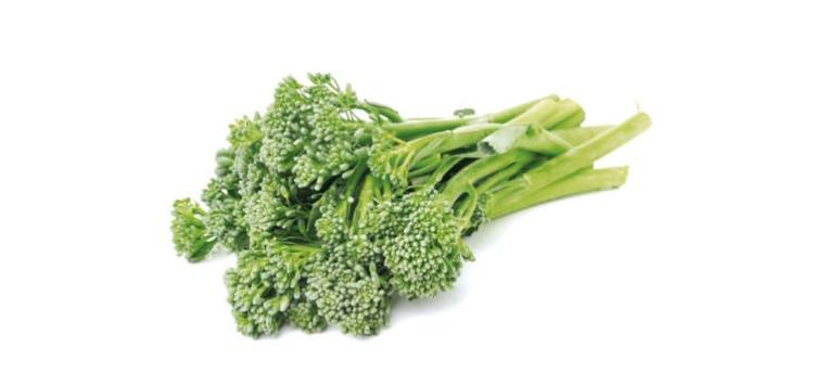 Cavolo Broccolo Sparacello Nostrano