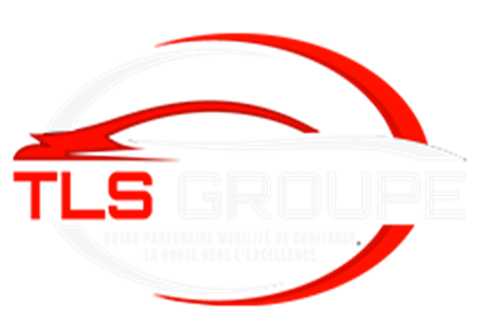  TLS TRANSPORT LIVRAISONS SERVICES