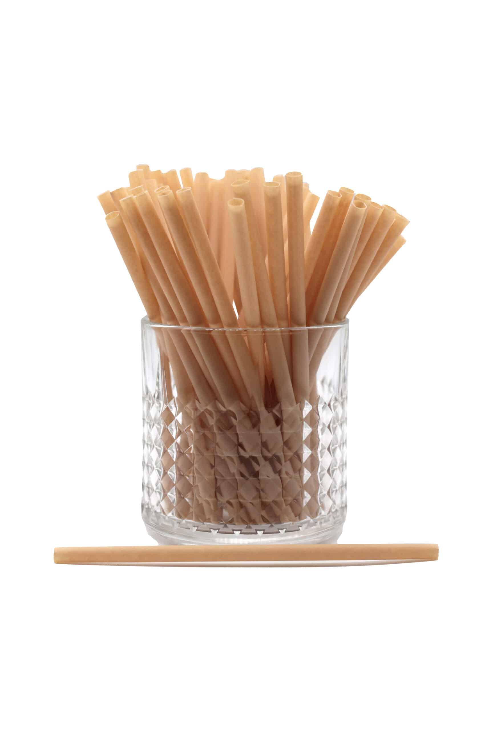 Pailles pour Cocktails Extradry