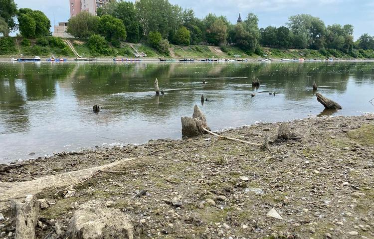 Medieval bridges emerging from Hungary’s Tisza River at risk